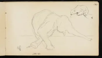 carnet de dessins Eléphant et ours blanc 1967.116.947.14 Photo