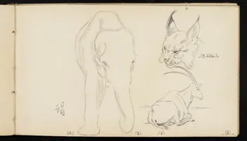 carnet de dessins Lynx, bouquetin et éléphant 1967.116.947.16 Photo