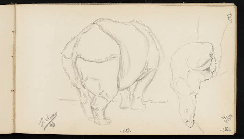 carnet de dessins Rhinocéros et ours blanc 1967.116.947.17 Photo