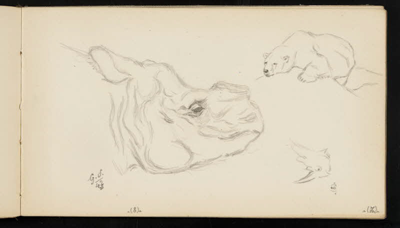 carnet de dessins Rhinocéros à la corne coupée et ours blanc 1967.116.947.22 Photo
