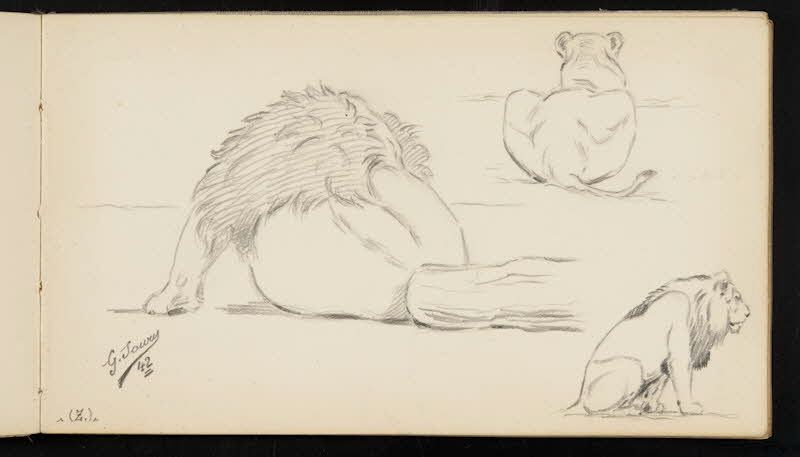 carnet de dessins Lion et lionne 1967.116.947.23 Photo