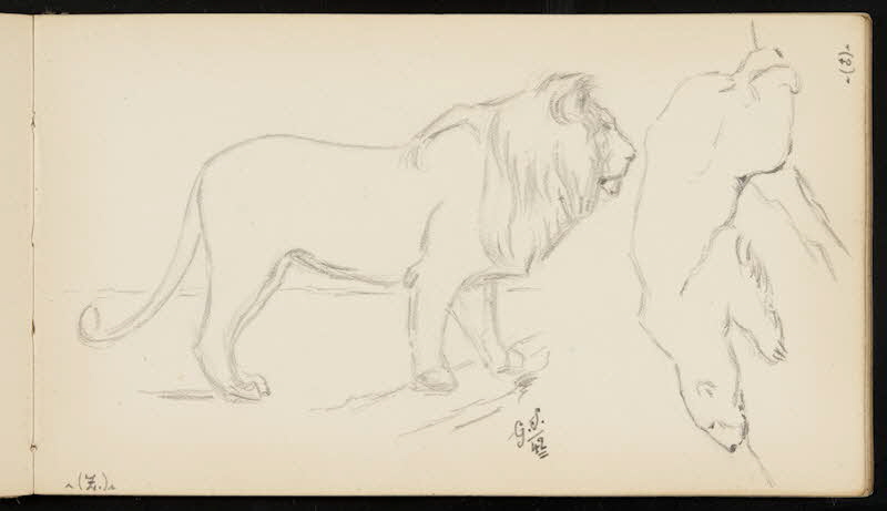 carnet de dessins Lion et ours blanc 1967.116.947.24 Photo