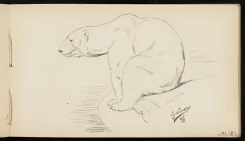 carnet de dessins Ours blanc 1967.116.947.25 Photo