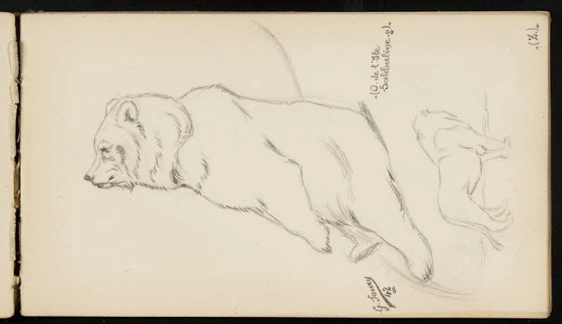 carnet de dessins Ours brun et lion 1967.116.947.30 Photo