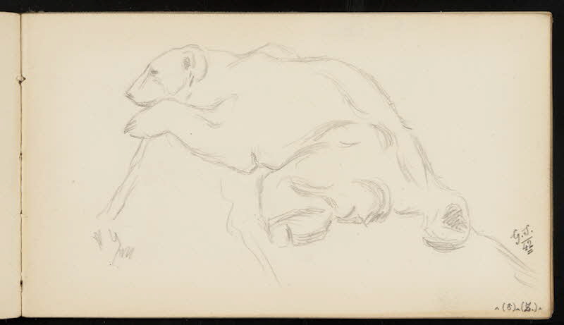 carnet de dessins Ours blanc allongé 1967.116.947.31 Photo