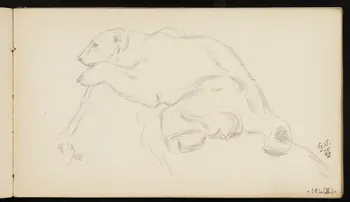 carnet de dessins Ours blanc allongé 1967.116.947.31 Photo
