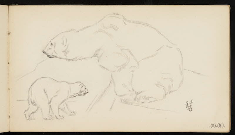 carnet de dessins Ours blancs 1967.116.947.32 Photo