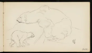 carnet de dessins Ours blancs 1967.116.947.32 Photo