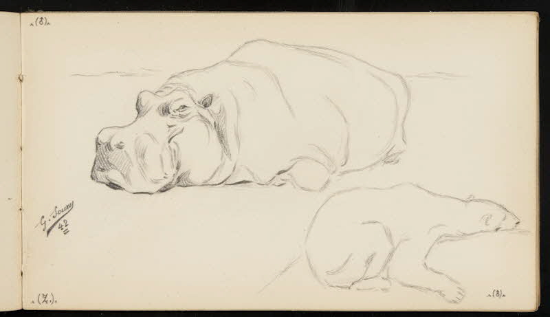 carnet de dessins Hippopotame et ours blanc 1967.116.947.33 Photo