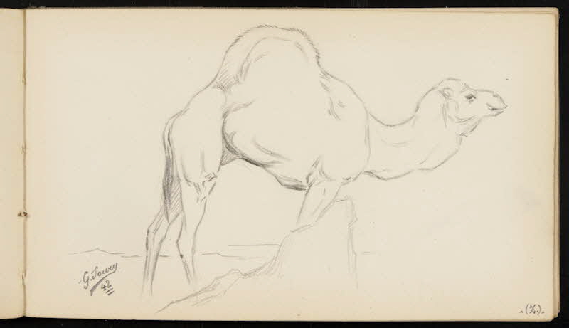 carnet de dessins Dromadaire 1967.116.947.36 Photo