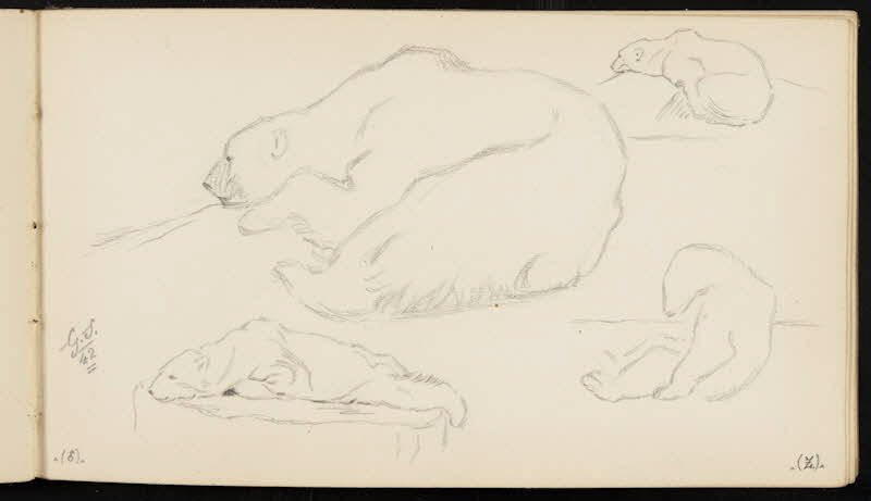 carnet de dessins Ours blanc dans diverses positions 1967.116.947.38 Photo