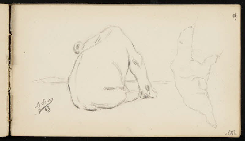 carnet de dessins Lionne et ours blanc 1967.116.947.40 Photo