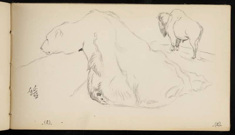 carnet de dessins Bison et ours blanc 1967.116.947.42 Photo