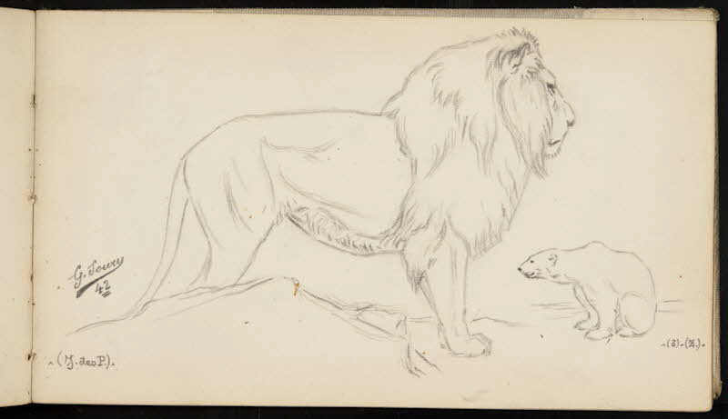 carnet de dessins Lion et ours blanc 1967.116.947.44 Photo