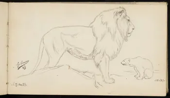 carnet de dessins Lion et ours blanc 1967.116.947.44 Photo