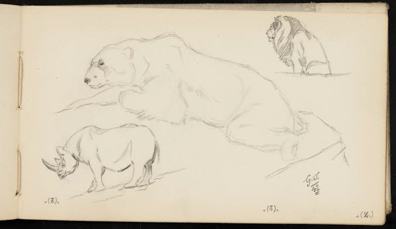 carnet de dessins Rhinocéros, ours blanc et lion 1967.116.947.45 Photo