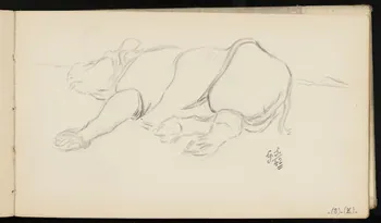 carnet de dessins Rhinocéros 1967.116.947.46 Photo
