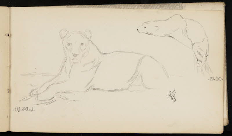 carnet de dessins Lionne et ours blanc 1967.116.947.48 Photo