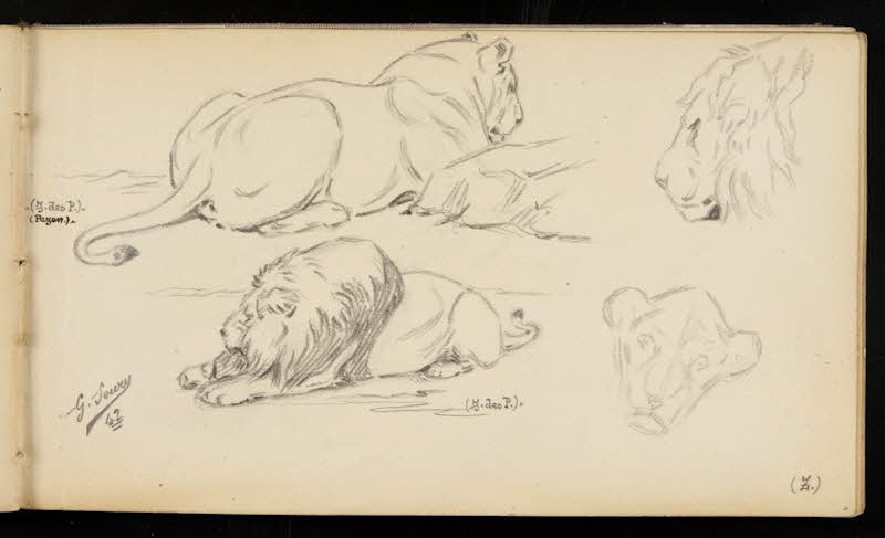carnet de dessins Lions et lionnes 1967.116.947.8 Photo