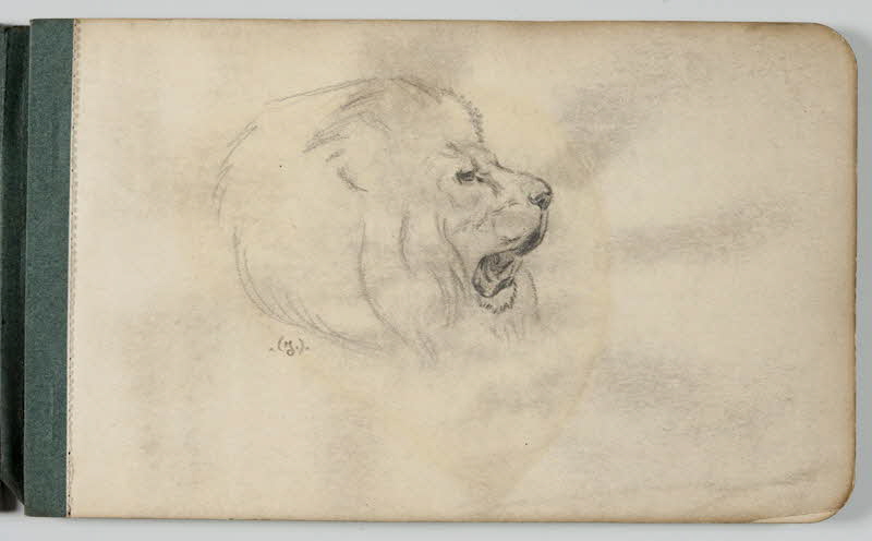 carnet de dessins Tête de lion 1967.116.948.1 Photo