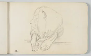 carnet de dessins Lion 1967.116.948.10 Photo