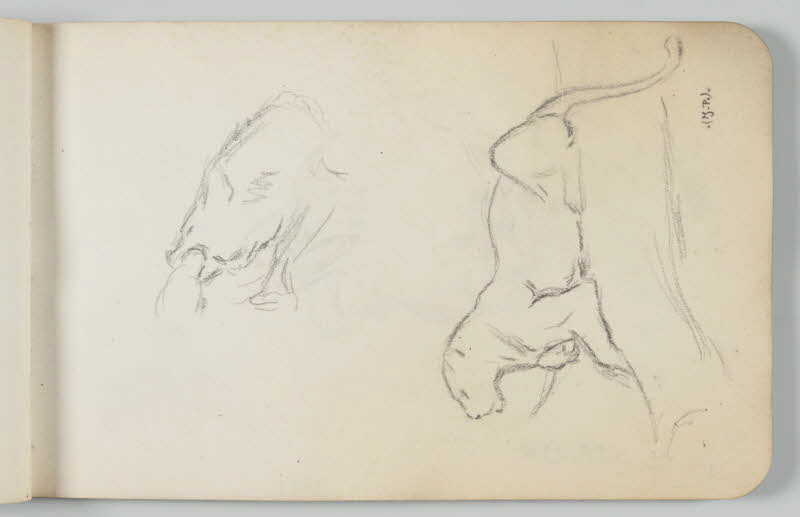 carnet de dessins Esquisse de panthère 1967.116.948.12 Photo