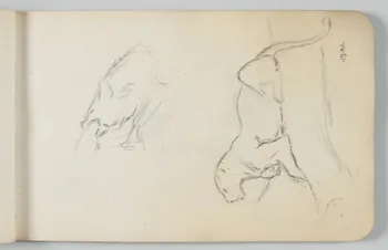 carnet de dessins Esquisse de panthère 1967.116.948.12 Photo