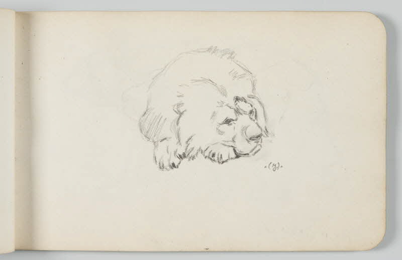 carnet de dessins Lion au repos 1967.116.948.13 Photo