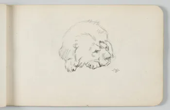 carnet de dessins Lion au repos 1967.116.948.13 Photo
