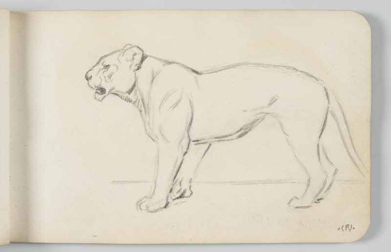 carnet de dessins Lionne 1967.116.948.15 Photo