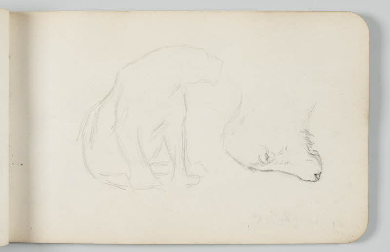 carnet de dessins Esquisse de loup 1967.116.948.16 Photo