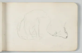 carnet de dessins Esquisse de loup 1967.116.948.16 Photo