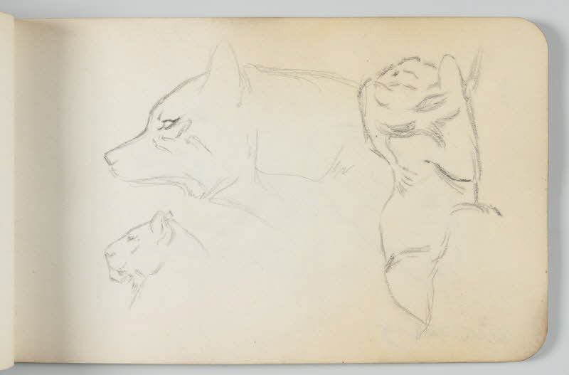 carnet de dessins Esquisse de loup et de lion 1967.116.948.19 Photo