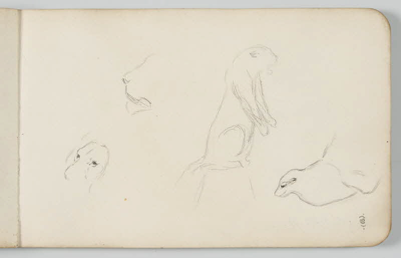 carnet de dessins Esquisse de lion et lionne 1967.116.948.2 Photo