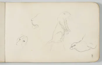 carnet de dessins Esquisse de lion et lionne 1967.116.948.2  Photo