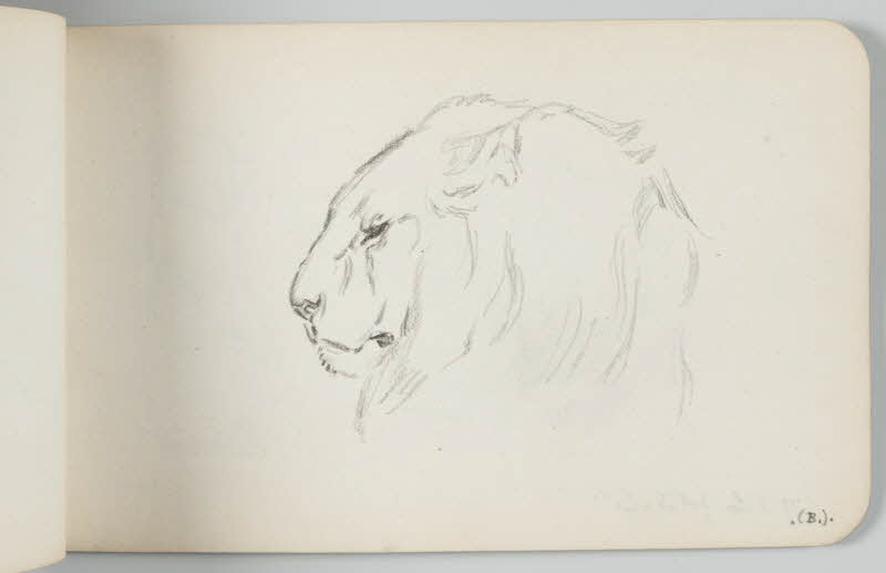 carnet de dessins Tête de lion 1967.116.948.23 Photo