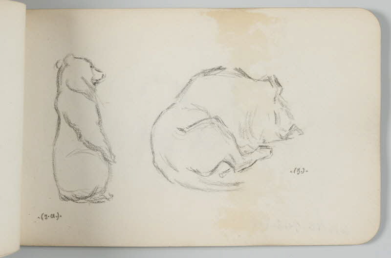 carnet de dessins Ours brun et animal endormi 1967.116.948.24 Photo