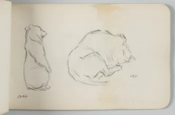 carnet de dessins Ours brun et animal endormi 1967.116.948.24 Photo