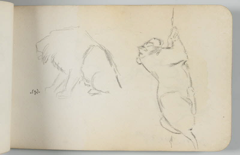 carnet de dessins Lion et lionne 1967.116.948.25 Photo