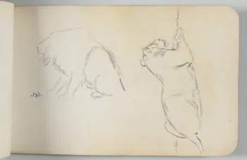 carnet de dessins Lion et lionne 1967.116.948.25 Photo