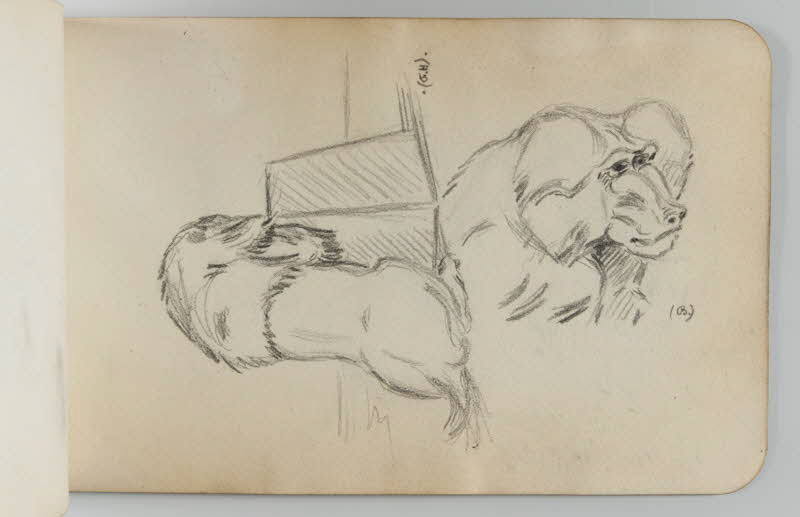 carnet de dessins Lion et singe 1967.116.948.28 Photo
