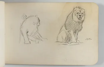 carnet de dessins Lionne et lion 1967.116.948.31  Photo