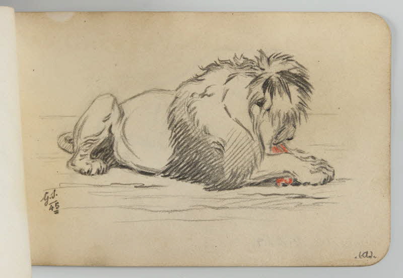 carnet de dessins Lion se nourrissant 1967.116.948.34 Photo