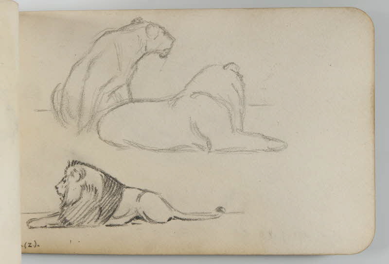 carnet de dessins Lion et lionne 1967.116.948.36 Photo