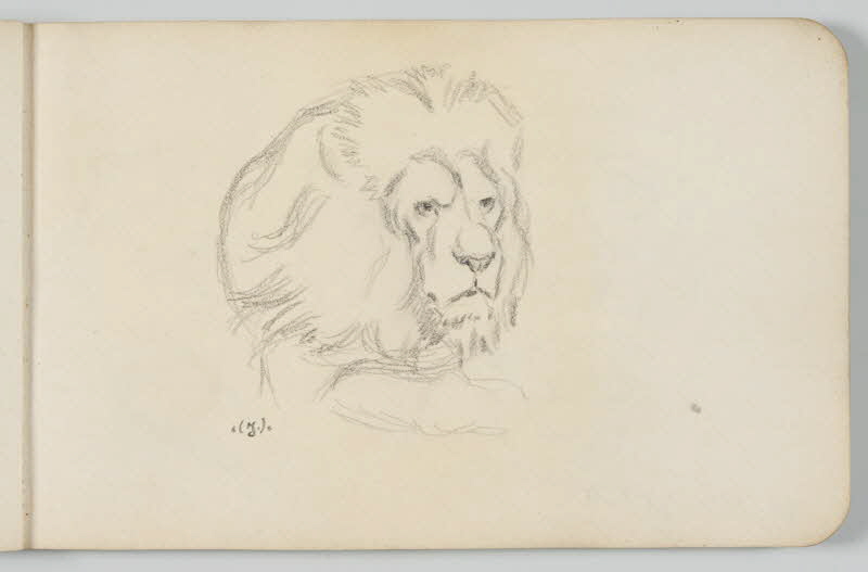 carnet de dessins Tête de lion 1967.116.948.4 Photo