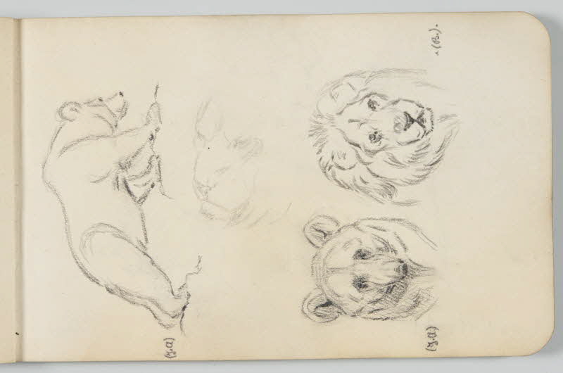 carnet de dessins Ours brun et lion 1967.116.948.5 Photo