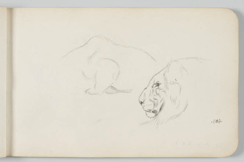 carnet de dessins Lion 1967.116.948.9 Photo
