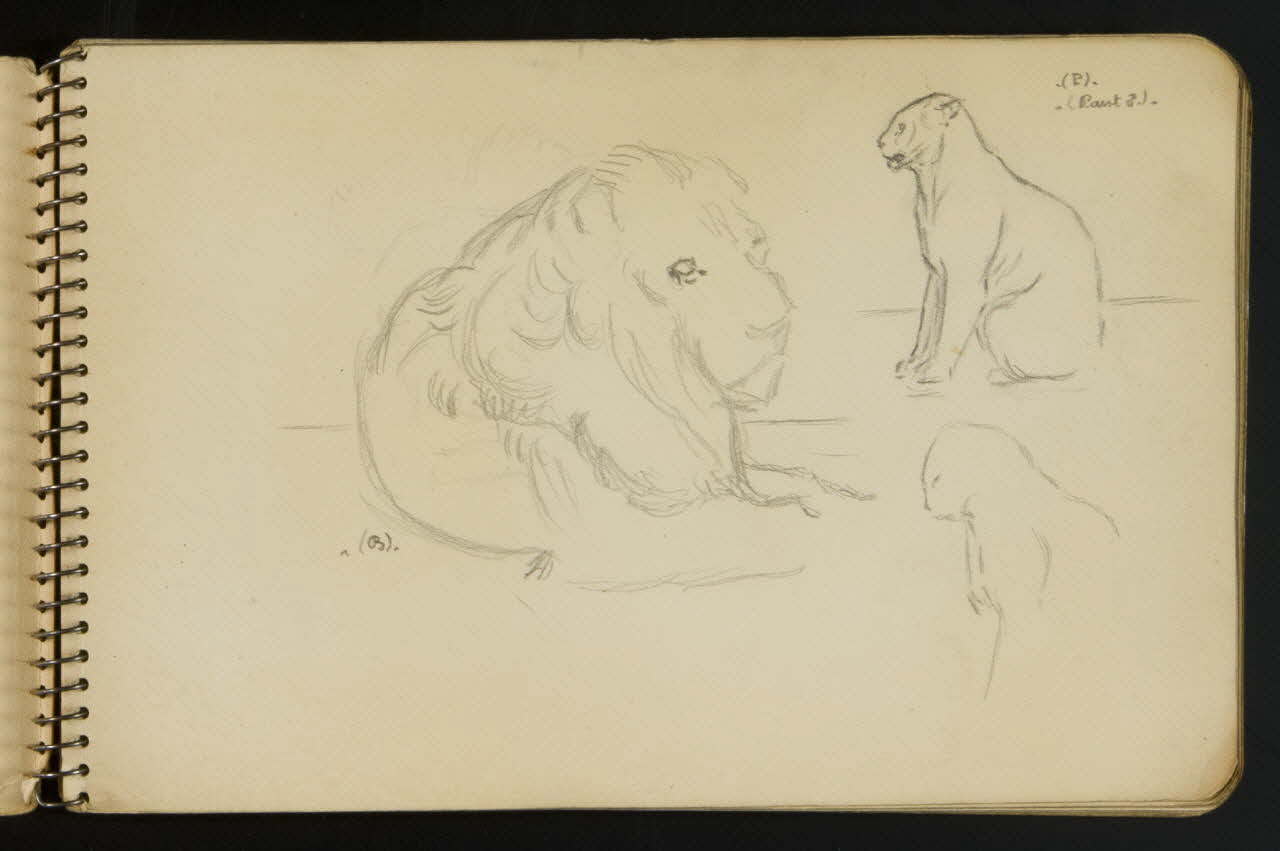 carnet de dessins Esquisse de lion et panthère 1967.116.949.1 Photo
