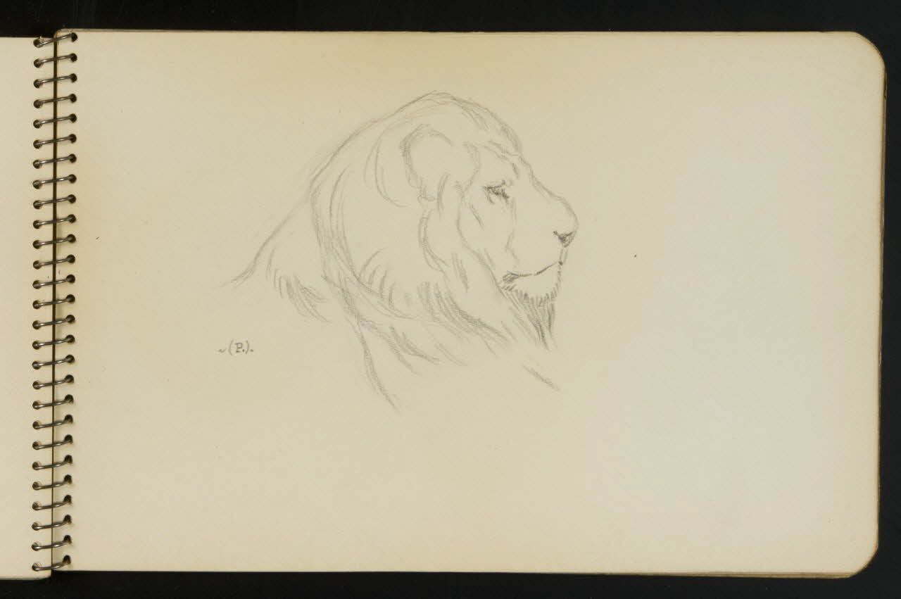 carnet de dessins Esquisse de tête de lion 1967.116.949.10 Photo