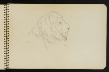 carnet de dessins Esquisse de tête de lion 1967.116.949.10 Photo